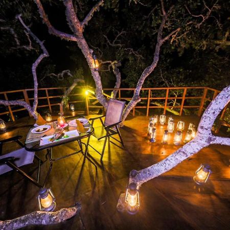 Tribe Yala - Luxury Camping Екстер'єр фото