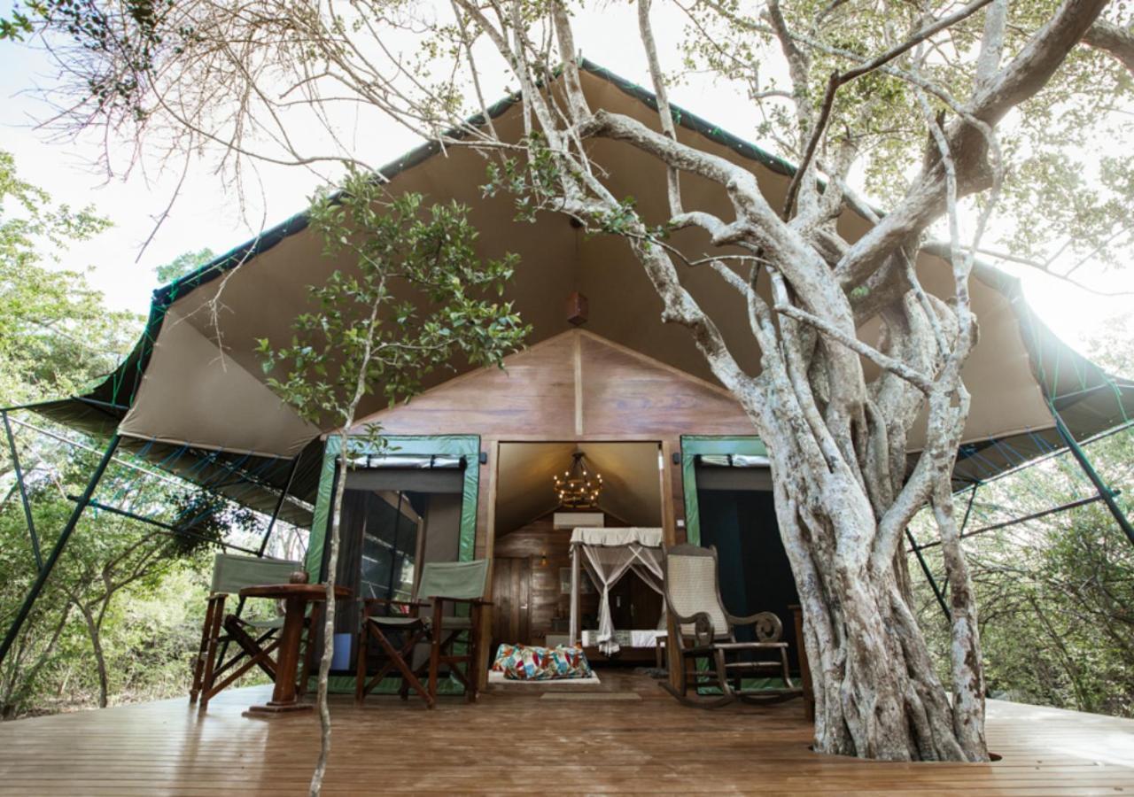 Tribe Yala - Luxury Camping Екстер'єр фото