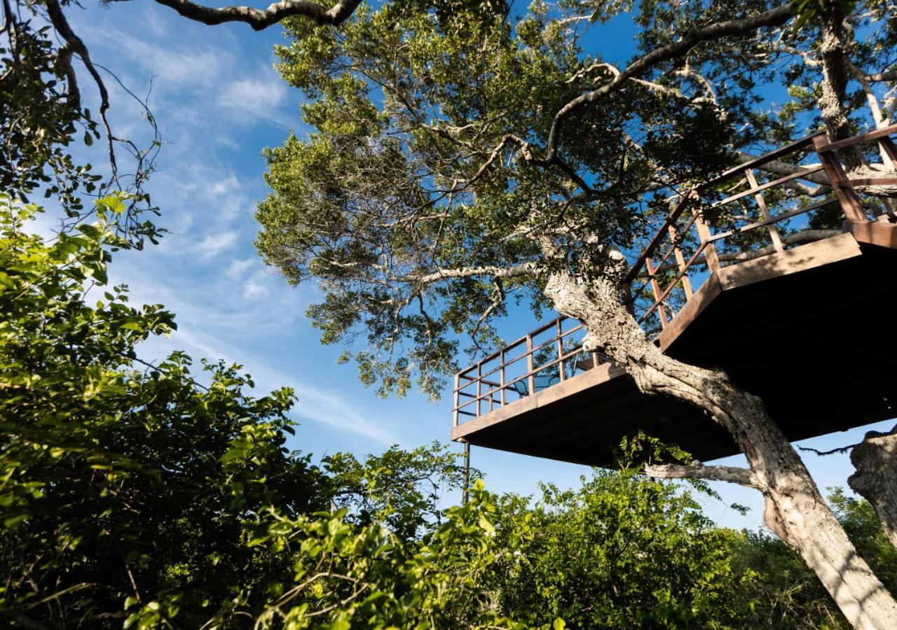 Tribe Yala - Luxury Camping Екстер'єр фото