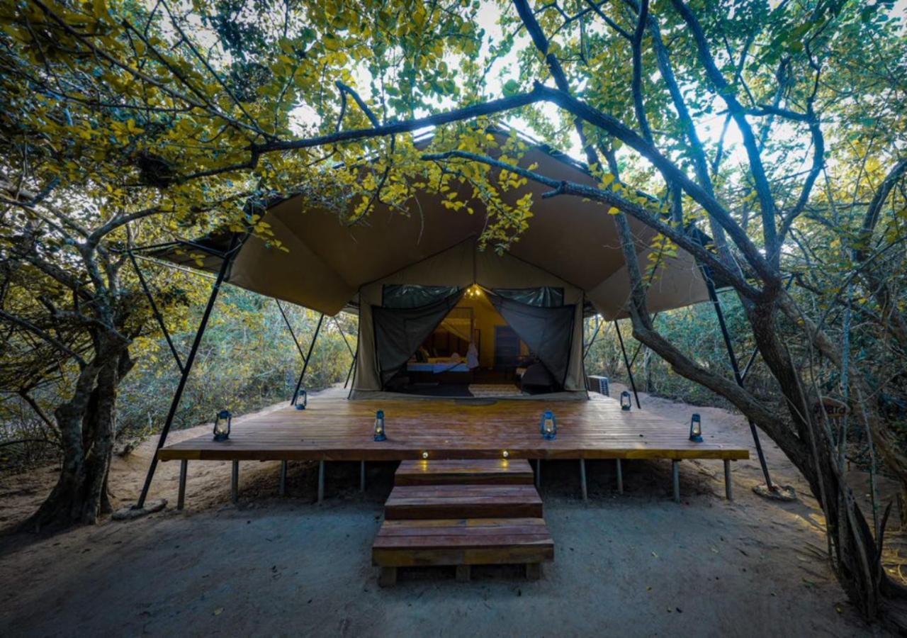 Tribe Yala - Luxury Camping Екстер'єр фото